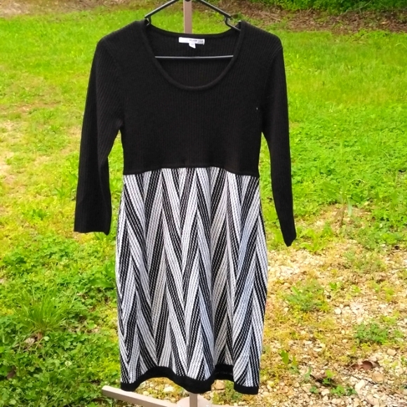 Studio One Dresses & Skirts - BUNDLE ONLY Studio One knit winter dress